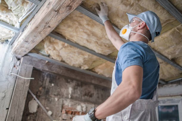 Best Insulation Replacement Services  in Briarcliff Manor, NY