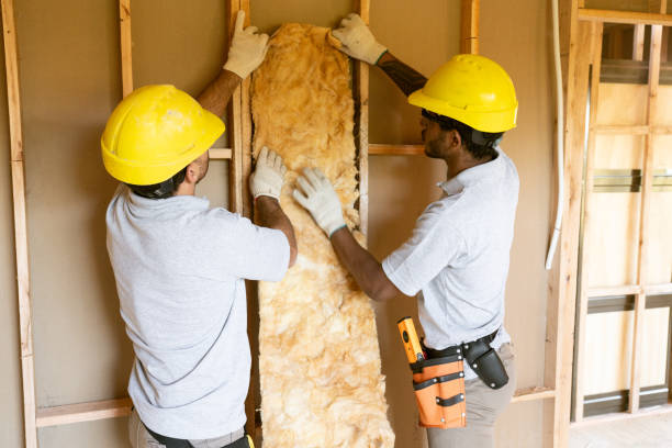 Best Insulation Contractor Near Me  in Briarcliff Manor, NY