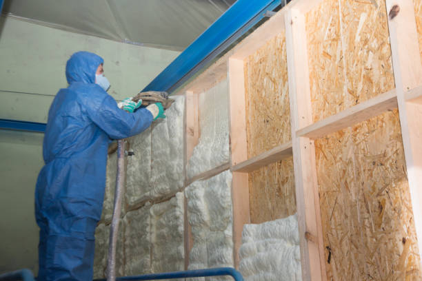 Best Blown-in Insulation  in Briarcliff Manor, NY